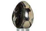 Septarian Dragon Egg Geode - Sparkly Black Crystals #336443-1